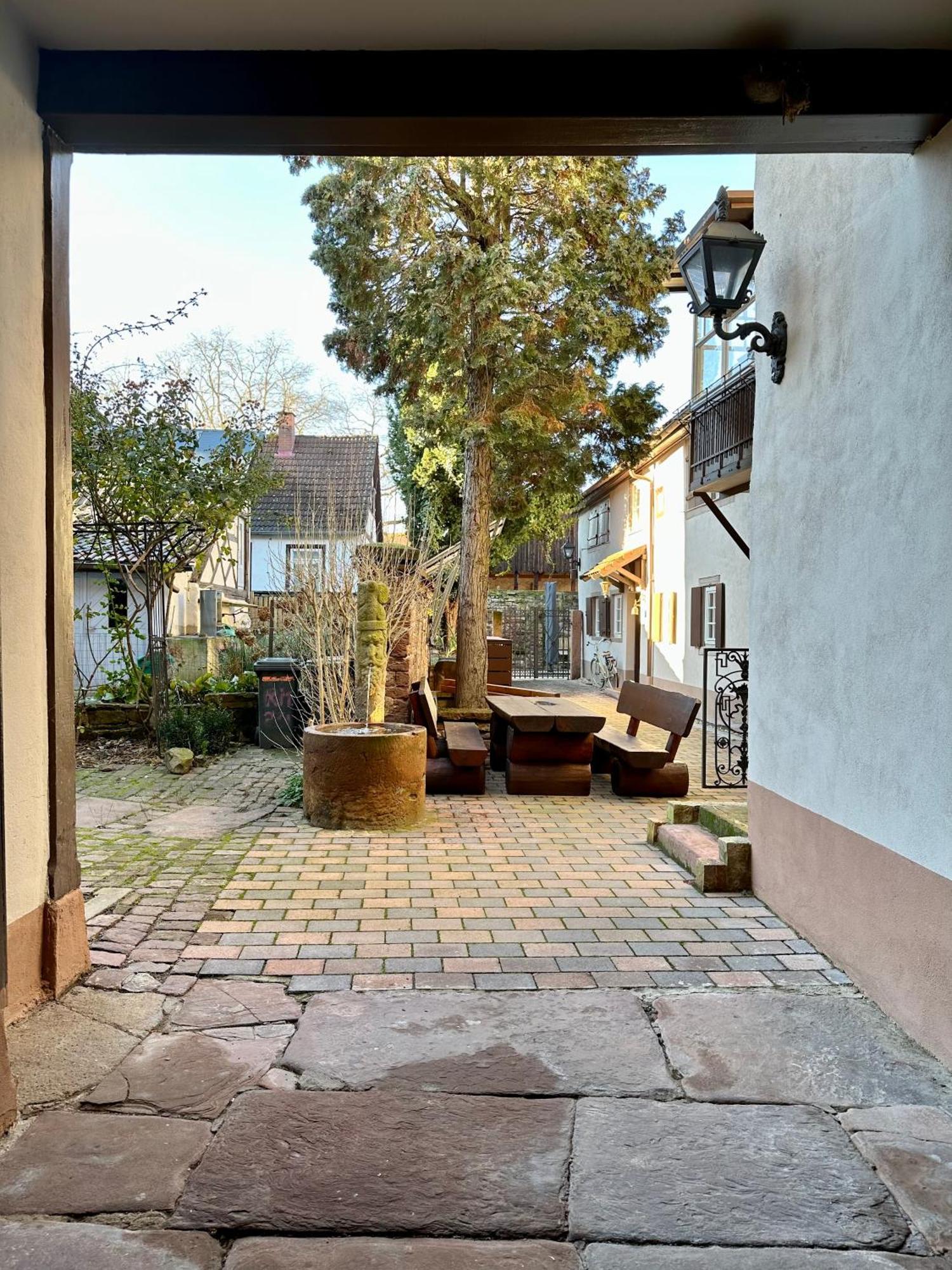 Exklusives Haus, Ruhig Gelegen Im Innenhof, Zentral, Lichtdurchflutet, Apartment Karlsruhe